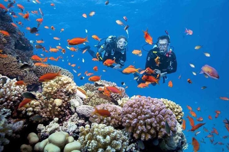 Nha Trang is in the Top 5 most beautiful diving spots in Asia