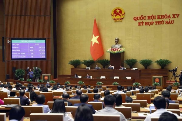 Gewährleistung der Bürgerrechte für staatenlose Vietnamesen