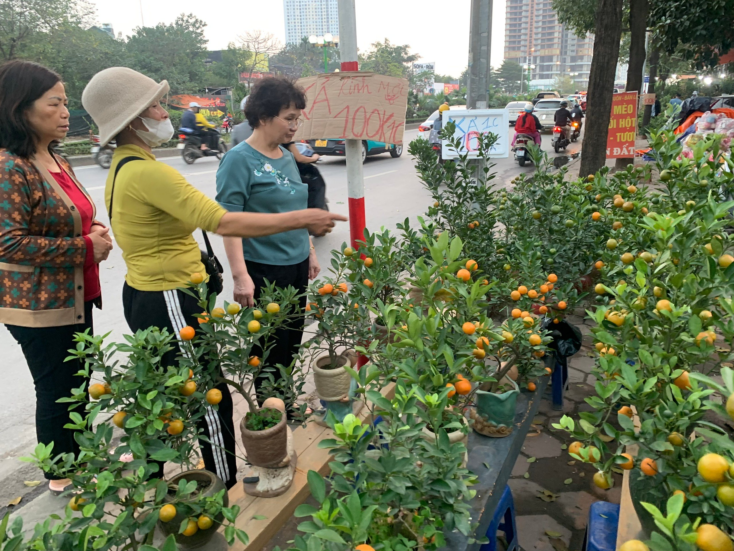 Quất cảnh chơi tết bán chậm, thương lái đồng loạt 'xả hàng'- Ảnh 1.