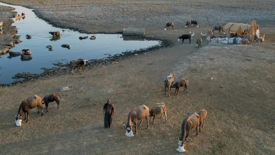 Hạn hán và xung đột ở Iraq, quốc gia nằm trong FCS, càng làm gia tăng tình trạng nghèo đói