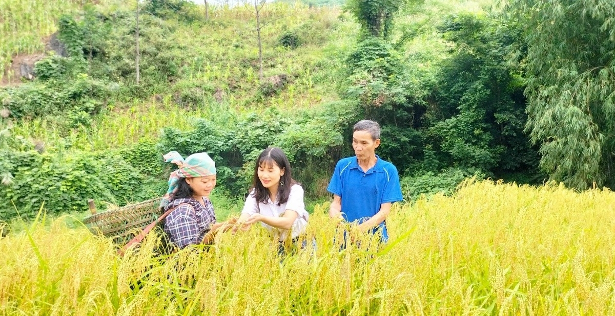 Lao Cai focuses on solutions to develop agricultural and rural tourism in new rural construction