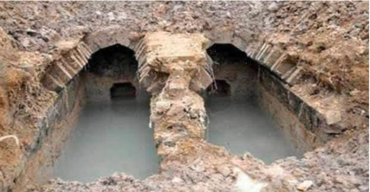 Excavating a 2,000-year-old tomb, startled to see living creatures crawling out from inside - 1