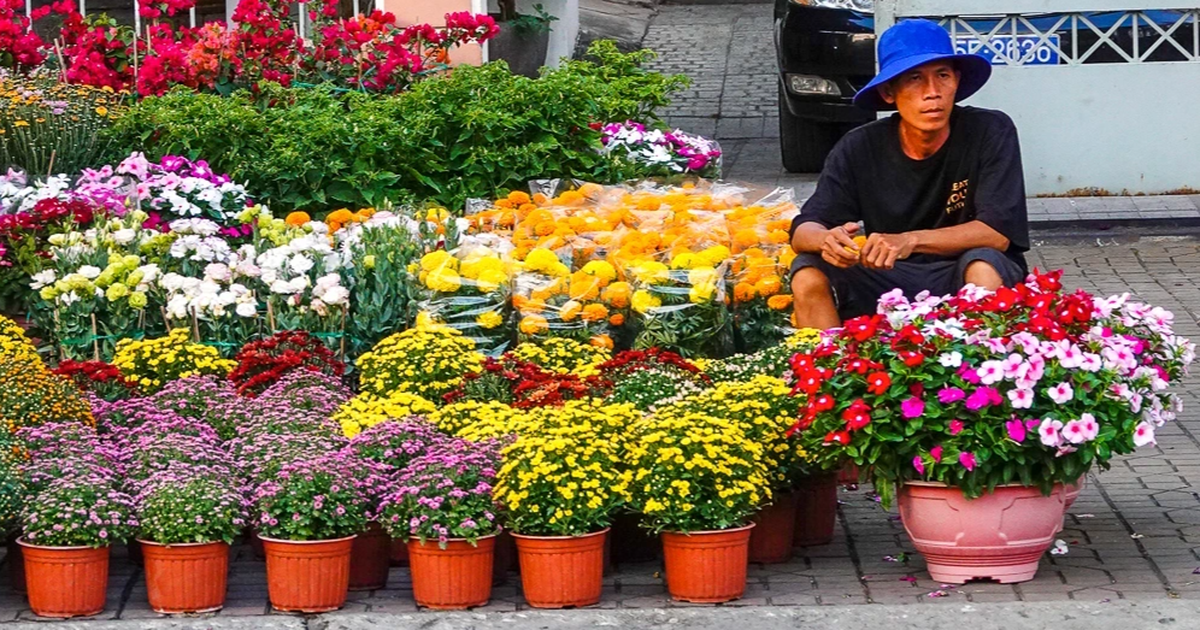 Chợ hoa Tết ở Cần Thơ: Giá niêm yết, giảm sâu vẫn bị khách "ngó lơ"