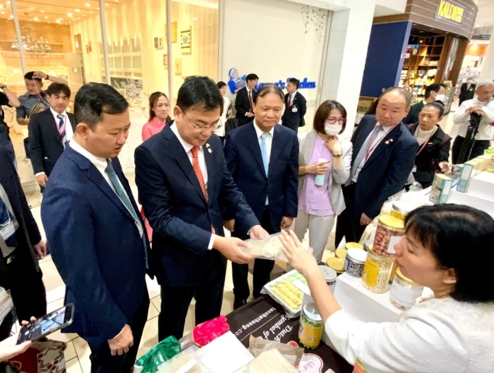 Présentation des produits de la région du Sud à la Semaine des produits vietnamiens chez AEON Japon - 3