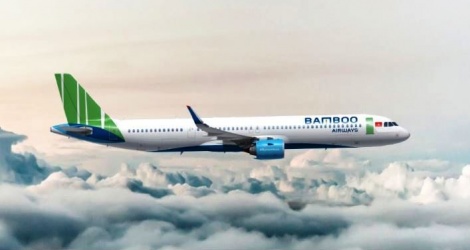 Binh Dinh tiene un plan para eliminar las dificultades y obstáculos relacionados con la deuda fiscal de Bamboo Airways