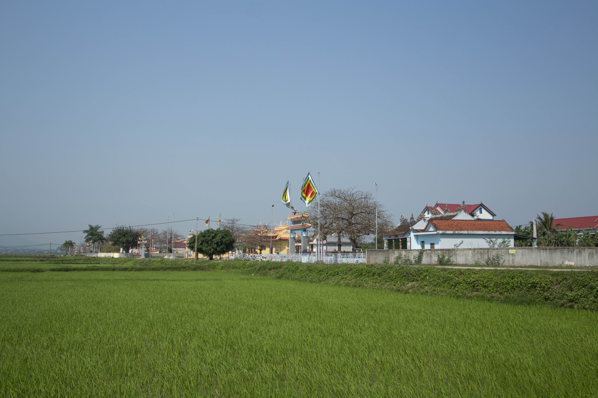 Làng lạ miền Trung: Làng có nhiều nhà thờ họ đồ sộ - Ảnh 1.