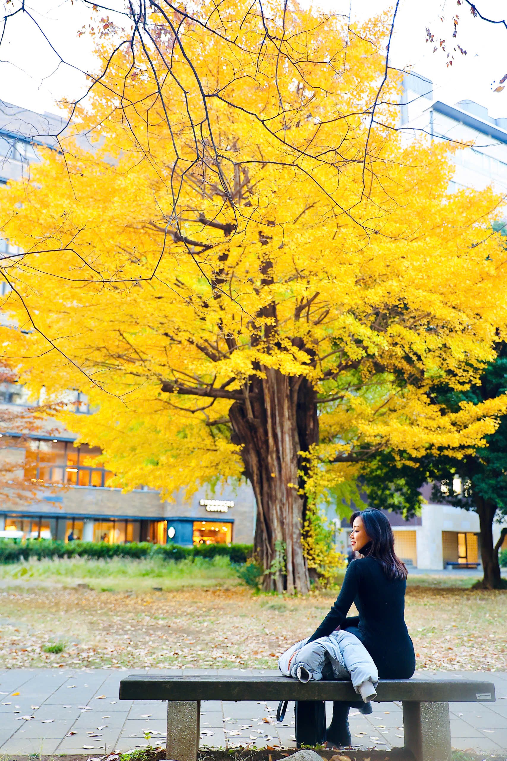 Fasziniert von der Herbstlandschaft mit roten und gelben Blättern in Japan Foto 24