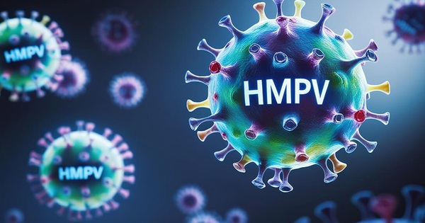 WHO official information on the situation of HMPV virus disease in China