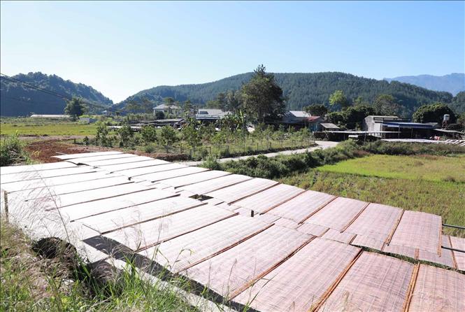 ចំណងជើងរូបថត