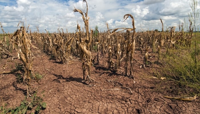 El Nino đã ảnh hưởng thế nào đến Việt Nam và các nước?