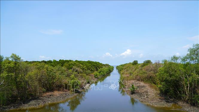 Nuôi một loài đặc sản thịt ngon ngọt dưới tán rừng ở một nơi của Kiên Giang, bắt hàng tấn, bán đắt tiền- Ảnh 4.