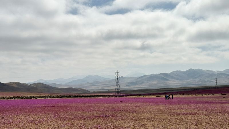 地球上で最も困難な砂漠は写真2にあります