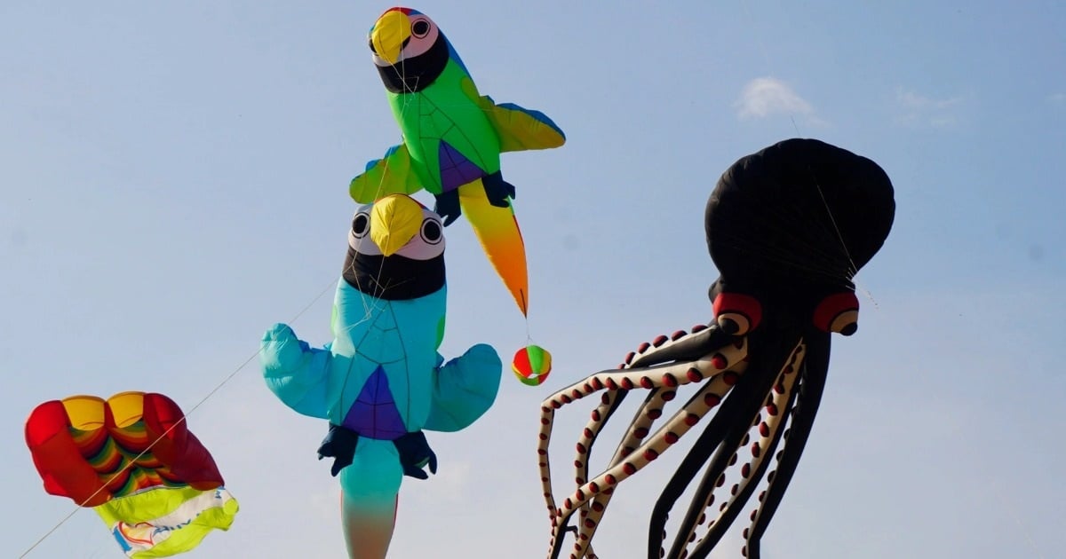 Watch giant kites flying in the sky of Quy Nhon