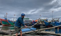 Los pescadores de Da Nang se apresuran a anclar sus barcos para hacer frente a las fuertes lluvias.