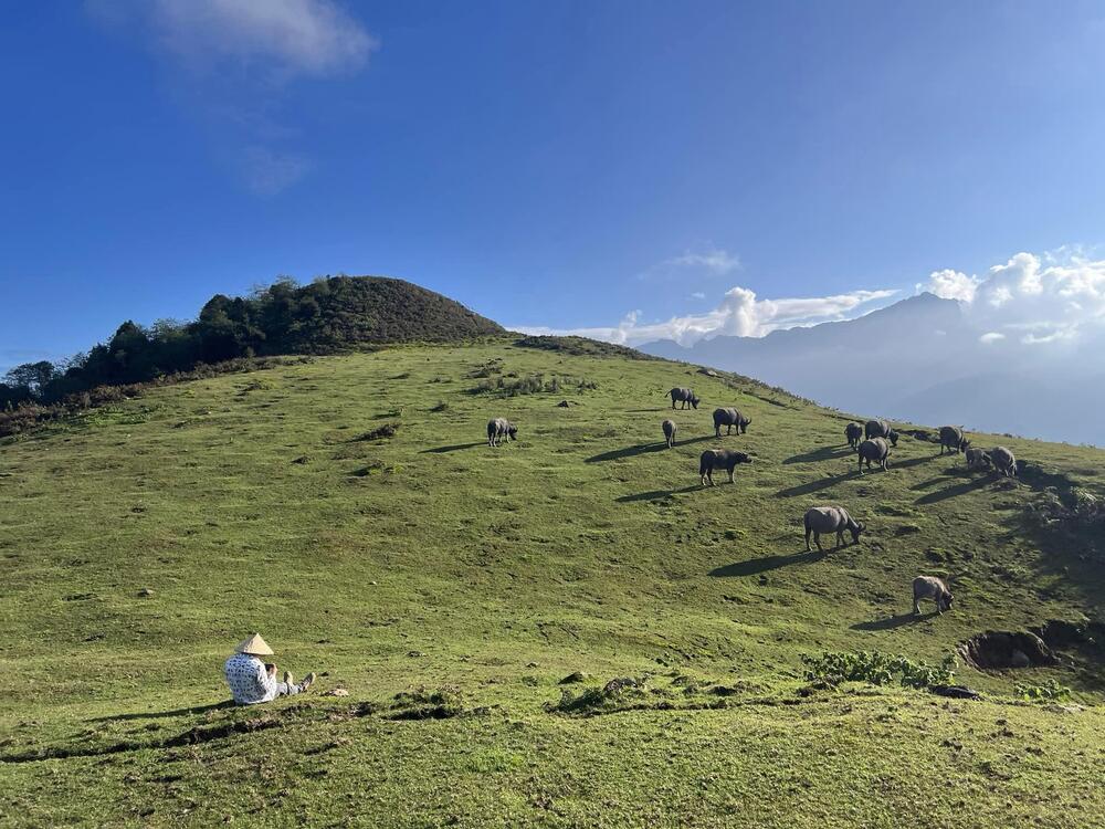 Doi Bo liegt in der Gemeinde Ta Phin der Stadt Sa Pa und ist ein idealer Ort für Touristen, die in die majestätische Natur der Berge und Wälder des Nordwestens eintauchen und die Ruhe sowie die friedvolle, sanfte Landschaft genießen möchten. Foto: NVCC