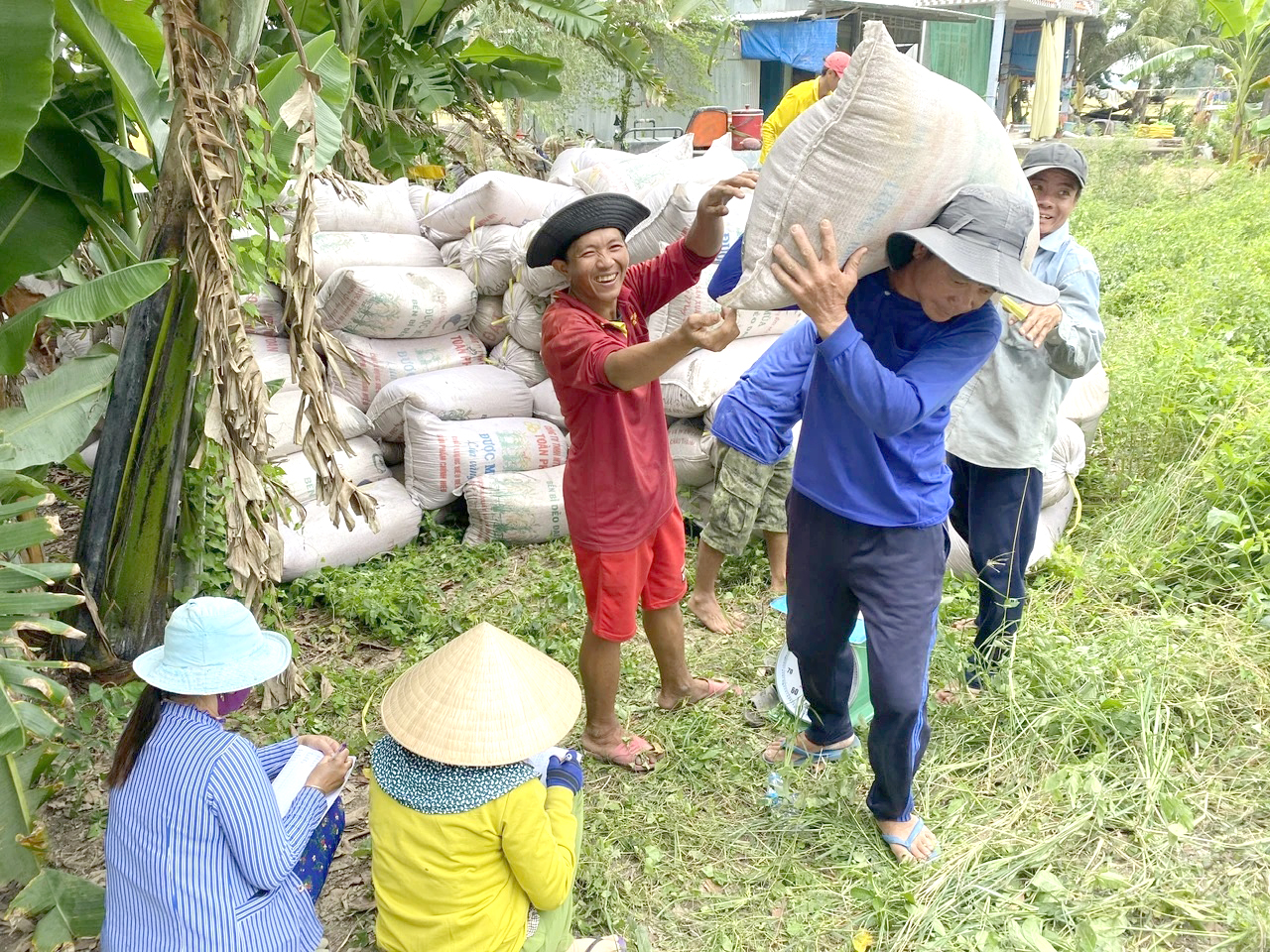 Doanh nghiệp trúng thầu lớn, nông dân yên tâm ăn tết- Ảnh 1.