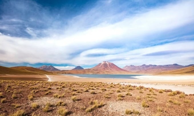 Plaine de l'Altiplano dans le désert d'Atacama. Photo: Pawel Toczynski