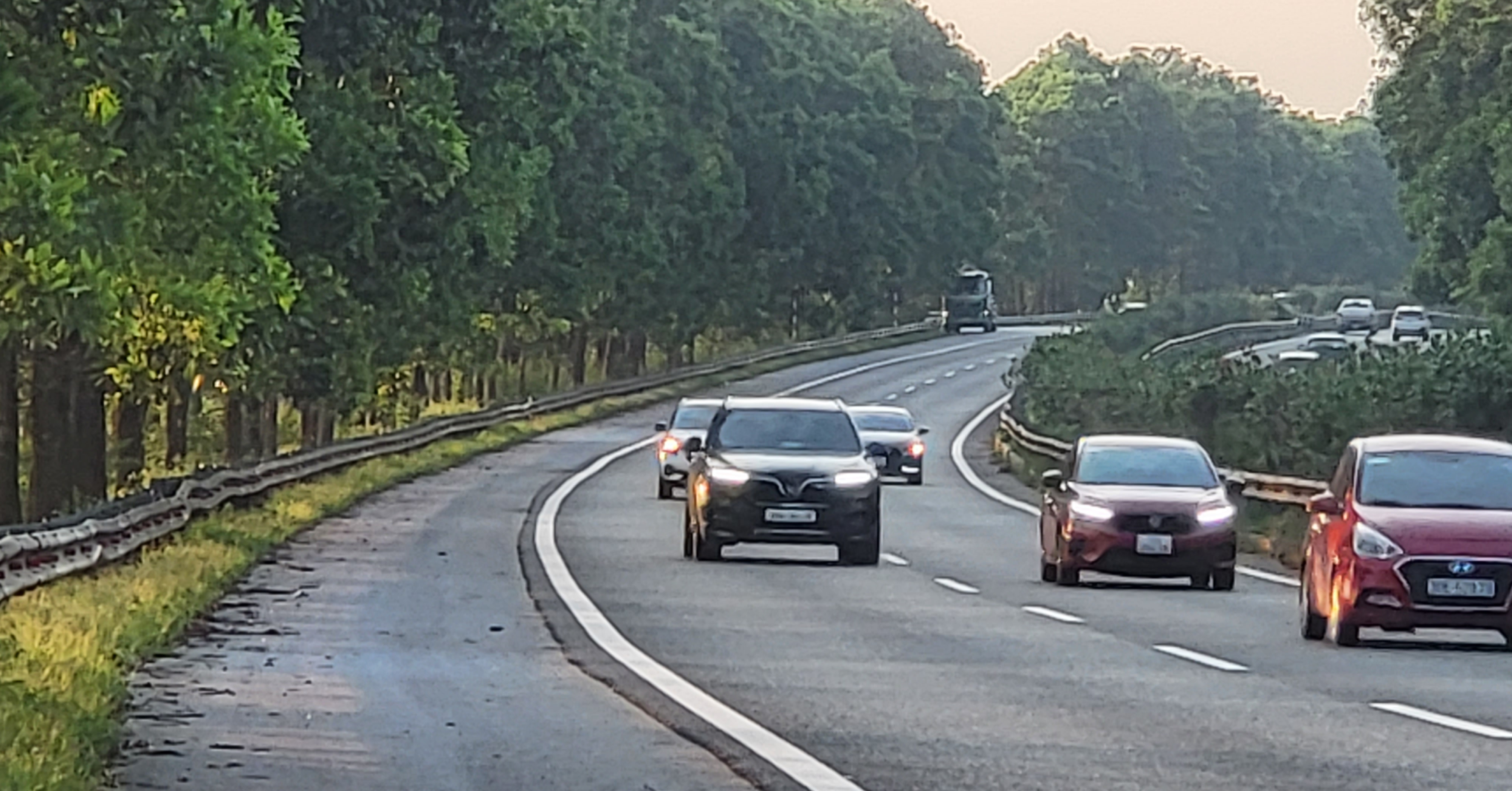 Warum 100.000 Bäume auf der Cau Gie-Autobahn?