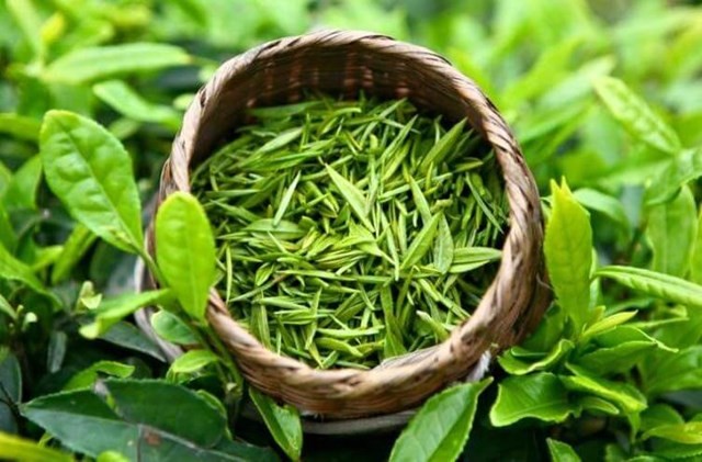 Xuất khẩu ngày 19-21/5: