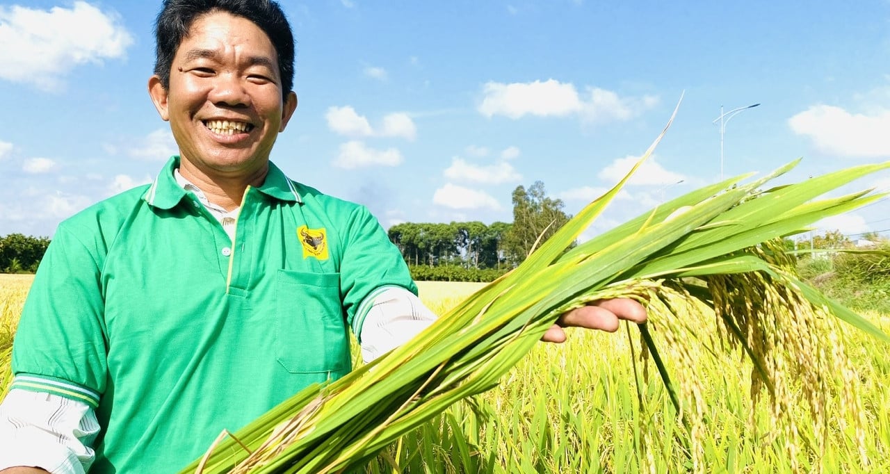 ปลูกข้าวลดการปล่อยมลพิษ เพิ่มกำไร 18 ล้านต่อไร่ รอขายเครดิตคาร์บอน