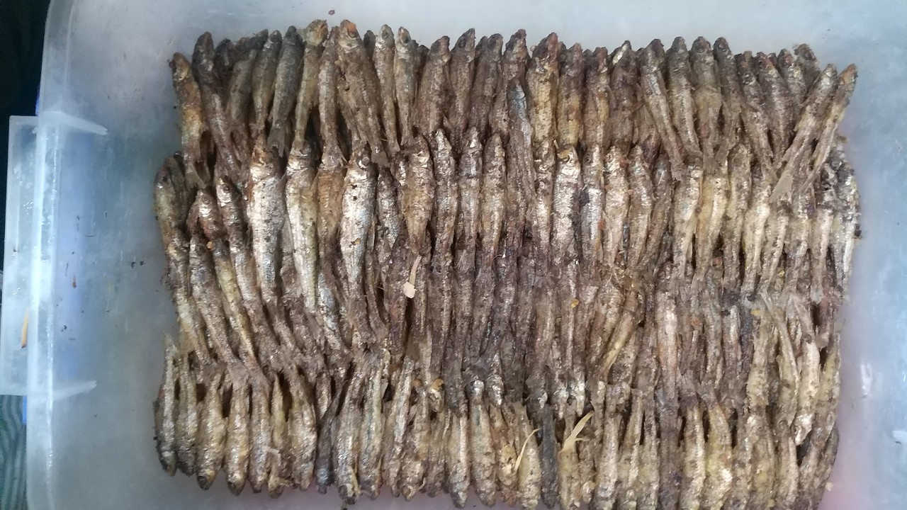 Hương vị quê hương: Cá còm kho nghệ - Ảnh 2.