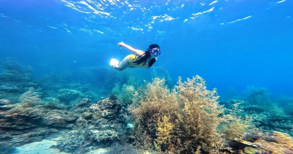 Explora el océano mágico con el buceo