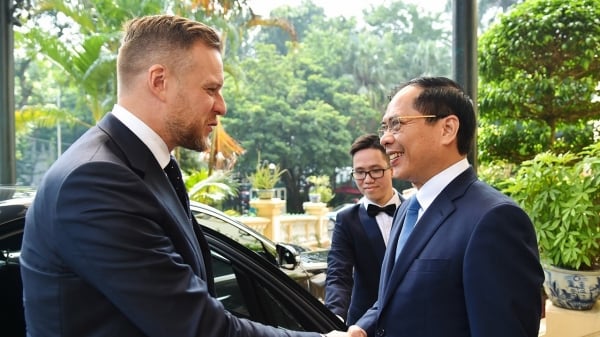 Foreign Minister Bui Thanh Son welcomed and held talks with Lithuanian Foreign Minister Gabrielius Landsbergis.