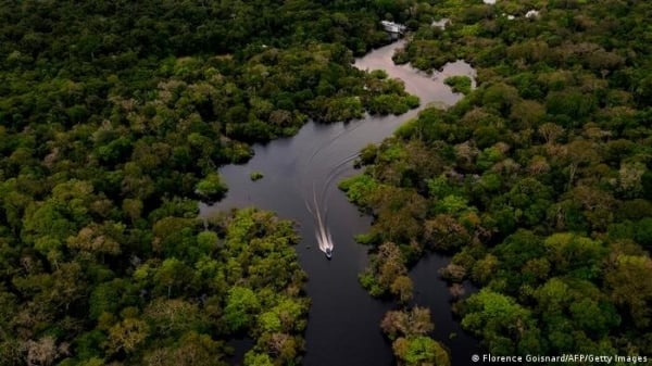 Protejamos la selva amazónica