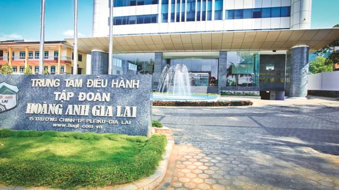 Hoang Anh Gia Lai (HAG) mortgaged shares and established a company in China.