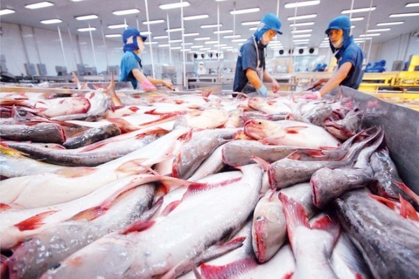 Middle East is in the Top 2 markets for importing Vietnamese seafood with the strongest growth.