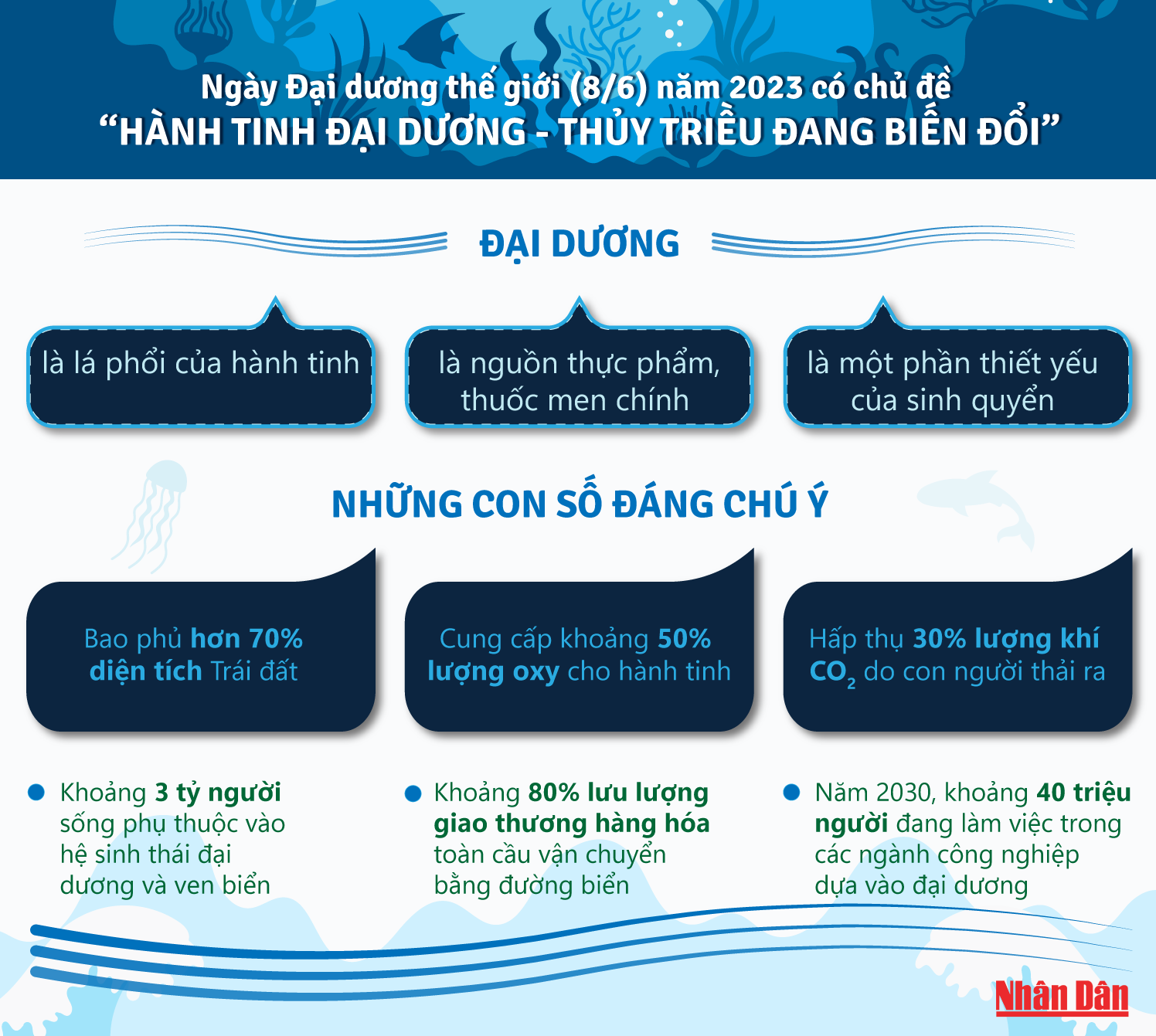 [Infographic] Những con số đáng chú ý về đại dương ảnh 1