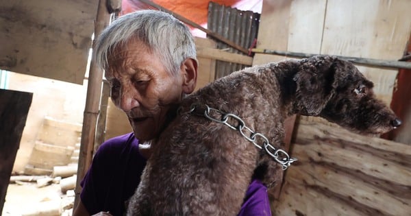 Une femme de 103 ans raconte comment elle a échappé aux inondations avec deux chiens dans un quartier pauvre du pont Long Bien