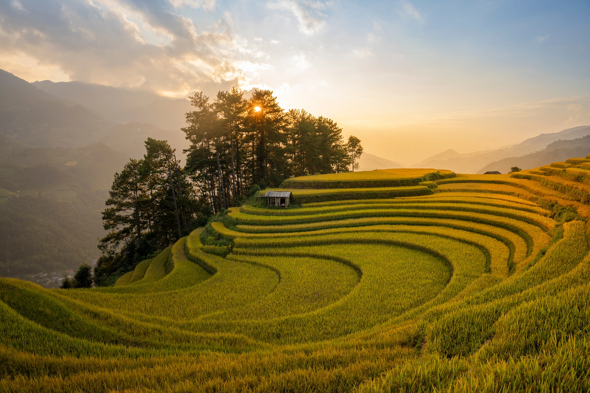 Mu Cang Chai es increíblemente hermoso, los turistas aprovechan para registrarse al final de la temporada dorada.