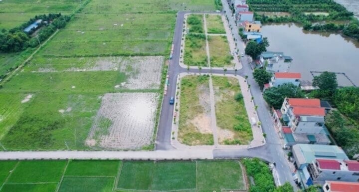 The Thanh Oai land auction in August became a hot spot in the land auction market in the suburbs of Hanoi. (Illustration photo).