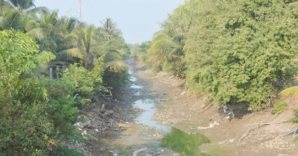 When does the first rain of the season appear in Tien Giang during the severe drought and salinity in the West?