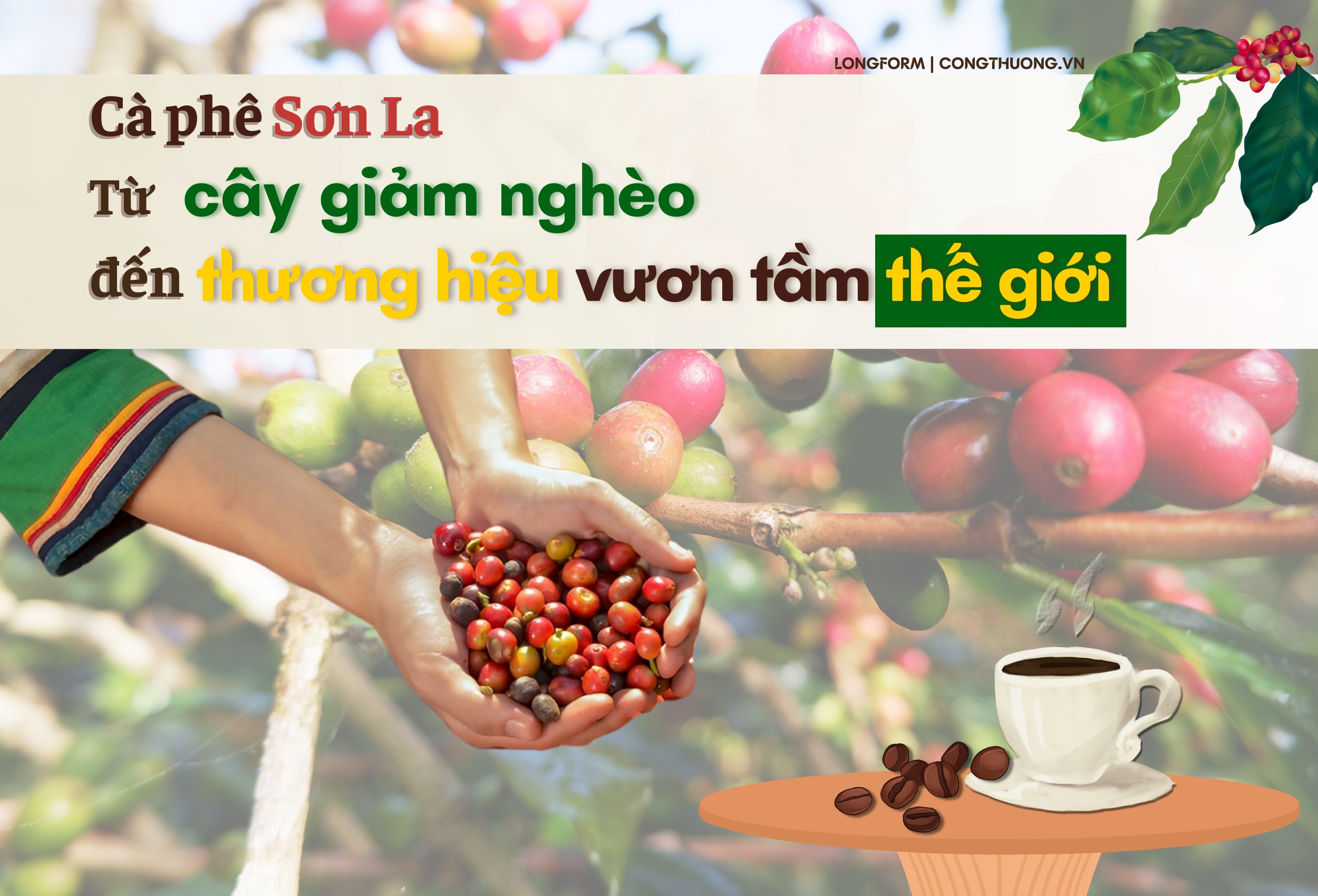 Longform | Son La Coffee: From a poverty alleviation tree to a world-class brand