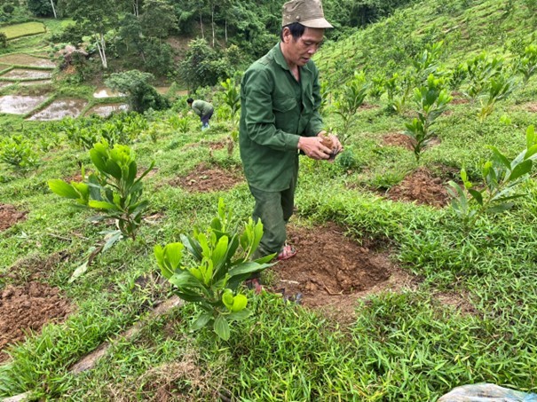 GEF tạo thu nhập bền vững cho người dân miền Tây Nghệ An