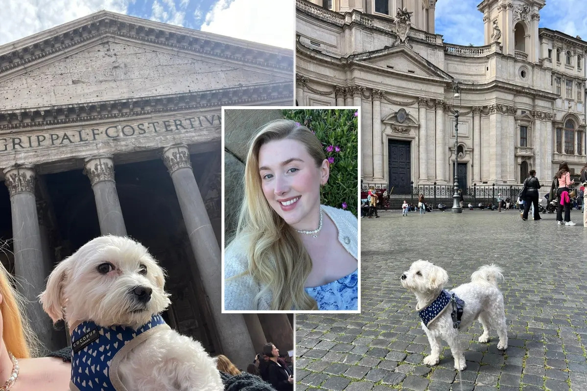 Girl spends more than 40 million VND to take her pet dog abroad for a month