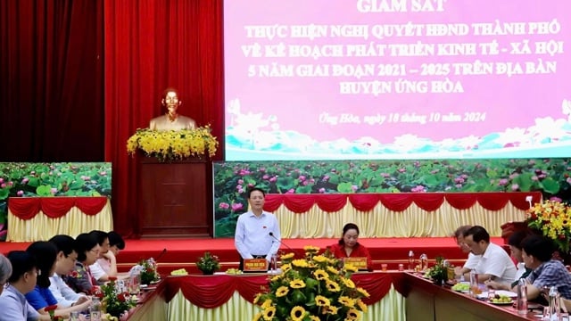 Tập trung thực hiện nhiệm vụ liên quan đến đấu giá quyền sử dụng đất