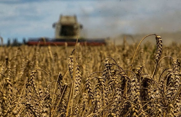 Getreideexporte der Ukraine werden Anfang des Erntejahres 2023 steigen