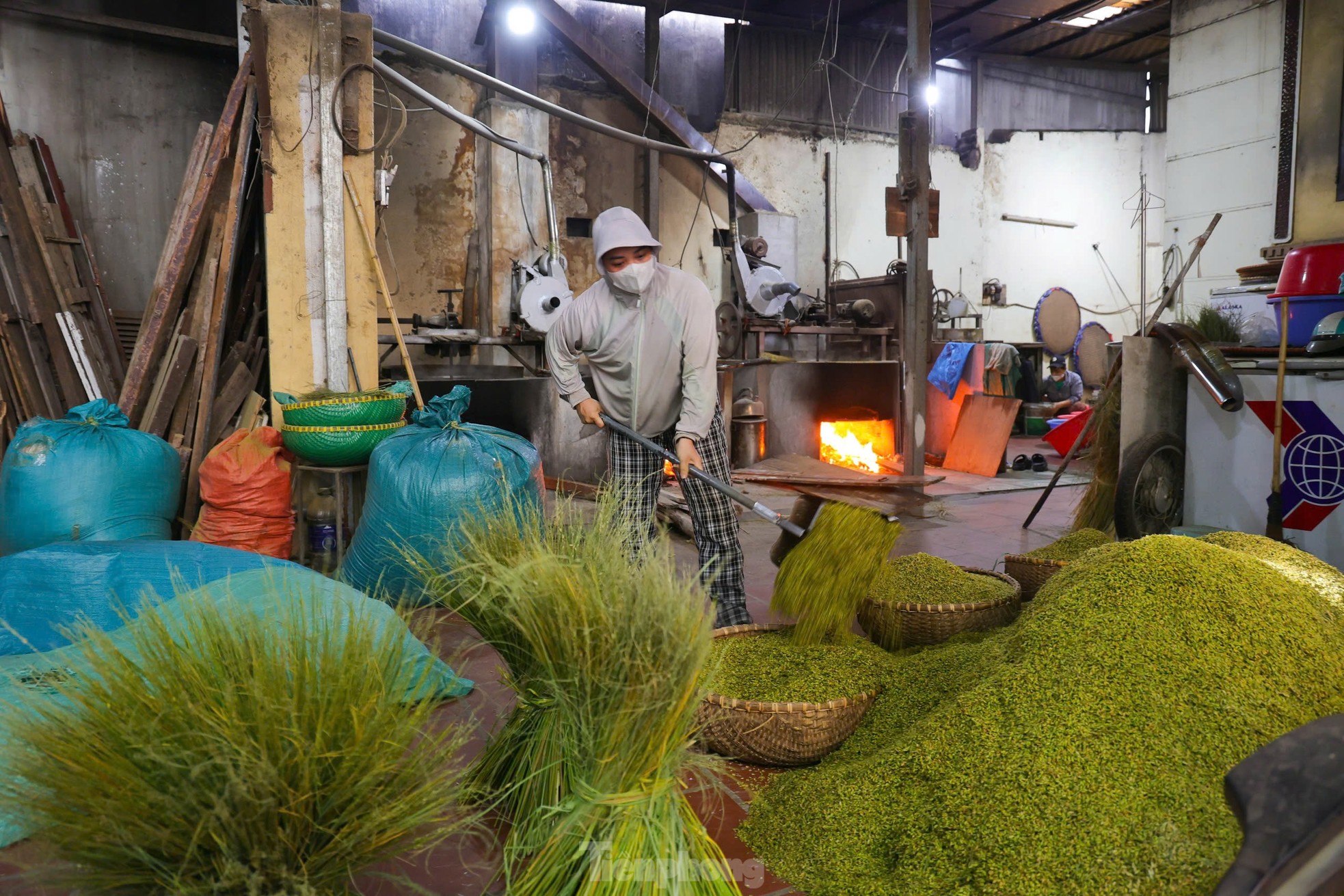 El arroz joven Me Tri está en llamas, bullicioso con el ritmo del arroz joven que se golpea en la nueva cosecha foto 1