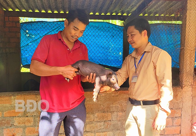 Đây là con đặc sản mà anh nông dân Bình Định nuôi thành công, hễ nói bán là khối người đòi mua- Ảnh 1.