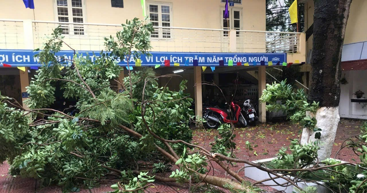 17 provincias y ciudades consideran permitir que los estudiantes se queden en casa sin ir a la escuela cuando sea necesario debido a tormentas y lluvias