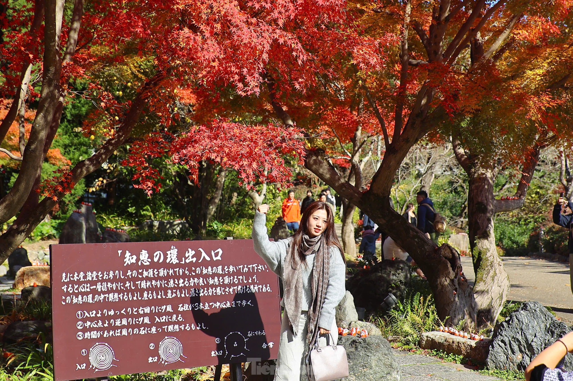 Fasziniert von der Herbstlandschaft mit roten und gelben Blättern in Japan, Foto 10