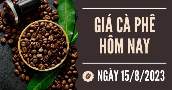 Giá cà phê hôm nay 15/8: Arabica giảm hơn 4%