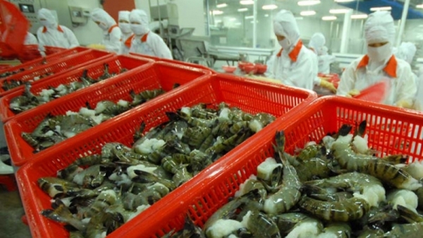 Shrimp exports in 2023 decreased by 21% compared to 2022