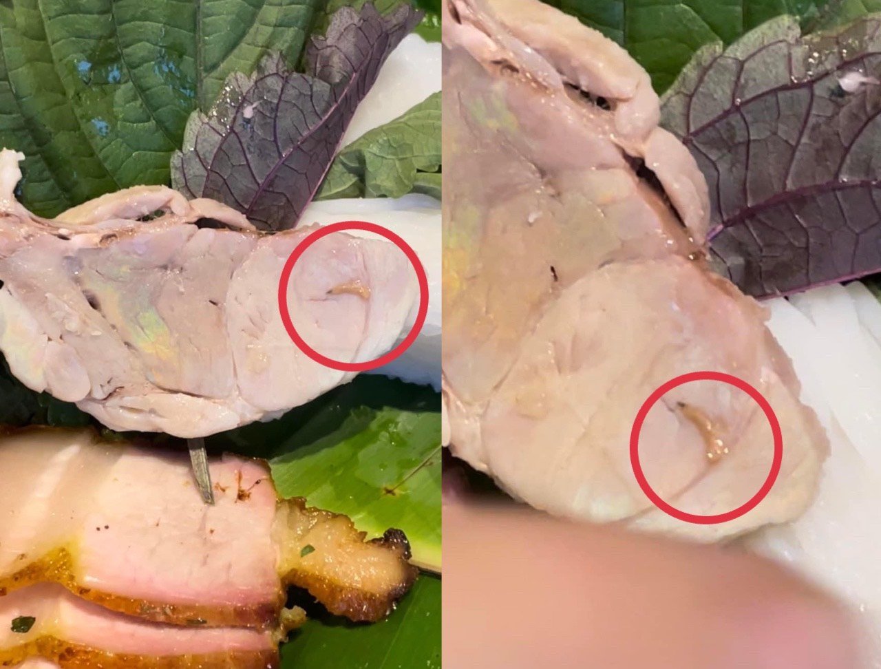 Bị tố có dòi, quán bún đậu nổi tiếng TP.HCM nói gì? - Ảnh 1.