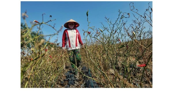 Mekong River water level is unusually low