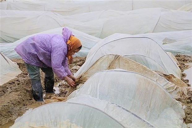 Rét chồng rét, đêm mai (29/2) miền Bắc đón thêm một đợt không khí lạnh mạnh tăng cường, có nơi dưới 5 độ C- Ảnh 1.