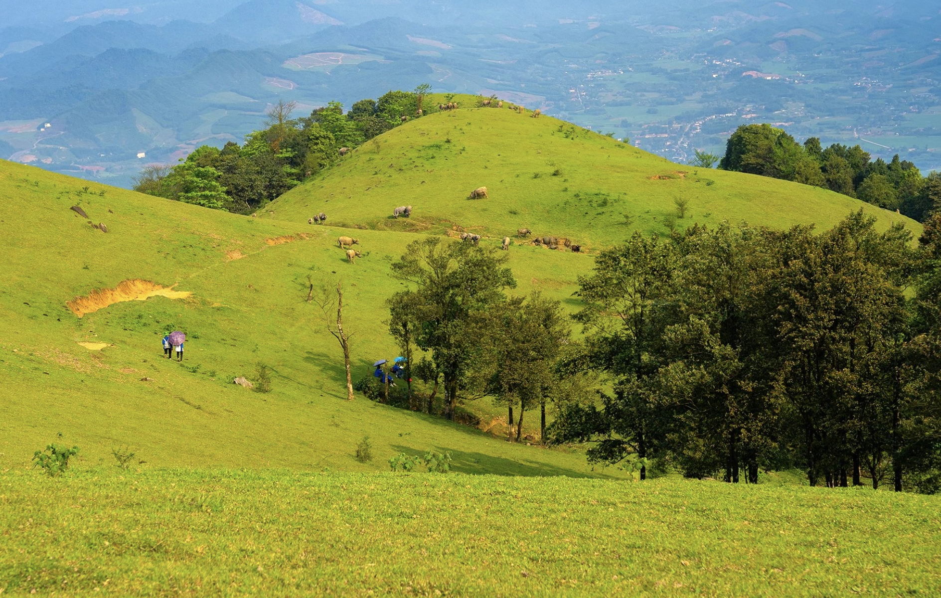 Ngắm thảo nguyên xanh mướt, điểm trekking lý tưởng ở Thanh Hóa